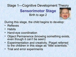 cognitive development theory ppt