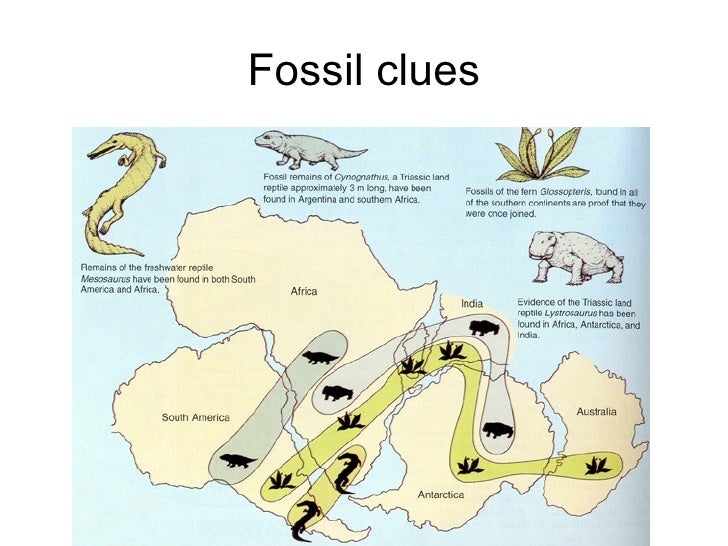 Plate Tectonics 10.1 08 09