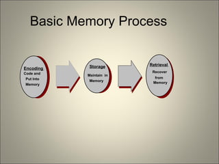 Basic Memory Process Encoding   Code and   Put Into   Memory Storage   Maintain  in  Memory Retrieval   Recover   from   Memory 
