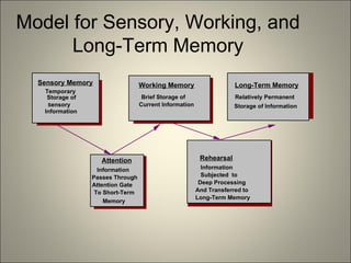 Model for Sensory, Working, and Long-Term Memory Sensory Memory Temporary   Storage of   S ensory  Information Attention Information   Passes Through   Attention Gate   To Short-Term   Memory Working Memory Brief Storage of   Current Information   Rehearsal   Information   Subjected  to  Deep   Processing And Transferred to   Long-Term Memory Long-Term Memory   Relatively Permanent  Storage of Information  