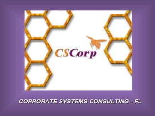 CORPORATE SYSTEMS CONSULTING - FL 