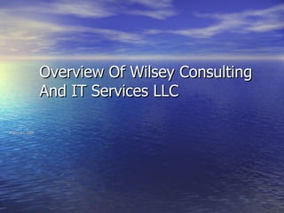     Overview Of Wilsey Consulting    And IT Services LLC  March 6 th , 2009   