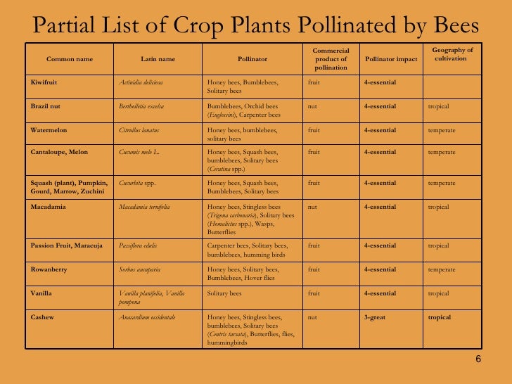 Bees, Pollination & Honey