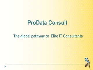 ProData Consult The global pathway to   Elite IT Consultants 