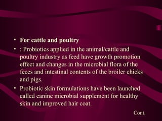 For cattle and poultry   : Probiotics applied in the animal/cattle and poultry industry as feed have growth promotion effect and changes in the microbial flora of the feces and intestinal contents of the broiler chicks and pigs.  Probiotic skin formulations have been launched called canine microbial supplement for healthy skin and improved hair coat. Cont. 