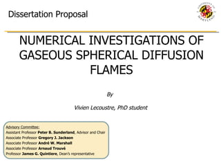 NUMERICAL INVESTIGATIONS OF GASEOUS SPHERICAL DIFFUSION FLAMES Advisory Committee: Assistant Professor  Peter B. Sunderland , Advisor and Chair Associate Professor  Gregory J. Jackson Associate Professor  André W. Marshall Associate Professor  Arnaud Trouvé Professor  James G. Quintiere , Dean’s representative By  Vivien Lecoustre, PhD student Dissertation Proposal 