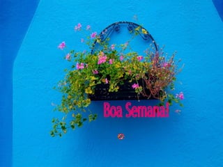 Boa Semana! 