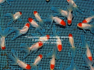 "Tropeçamos sempre nas pedras pequenas,  as grandes logo enxergamos." --Provérbio Japonês  