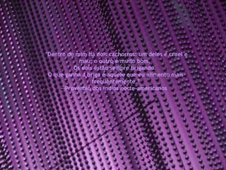 "Dentro de mim há dois cachorros: um deles é cruel e mau; o outro é muito bom.  Os dois estão sempre brigando.  O que ganha a briga é aquele que eu alimento mais freqüentemente." --Provérbio dos índios norte-americanos  