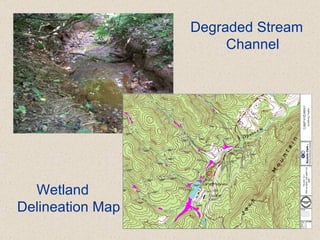 Degraded Stream Channel Wetland Delineation Map 