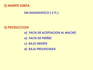 2) MUERTE SUBITA SIN DIAGNOSTICO ( 5 % ) FALTA DE ACEPTACION AL MACHO  FALTA DE PREÑEZ c)  BAJO DESTETE d)  BAJA PROLIFICIDAD 3) PRODUCCION 