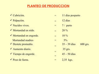 PLANTEO DE PRODUCCION Cubrición. Mortandad en nido. Nacidos vivos. Palpación. Mortandad en engorde. Tiempo de engorde. Aumento diario. Destete promedio. Peso de faena. 11 días posparto 20 % 7 /  parto 12 días 10 % 45 – 50 días 35 grs. 35 – 39 días  600 grs. 2,35  kgs. = = = = = = = = = Mortandad madres = 5% 