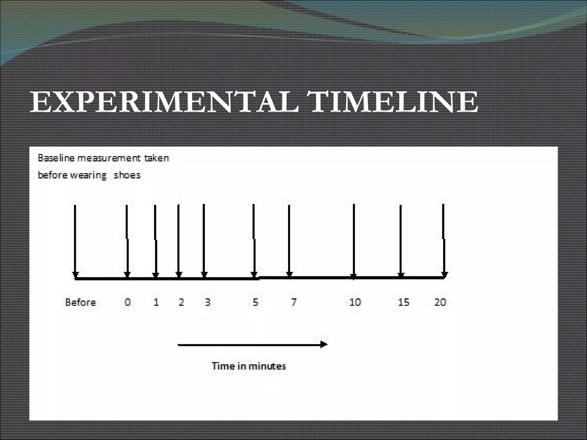 EXPERIMENTAL TIMELINE 