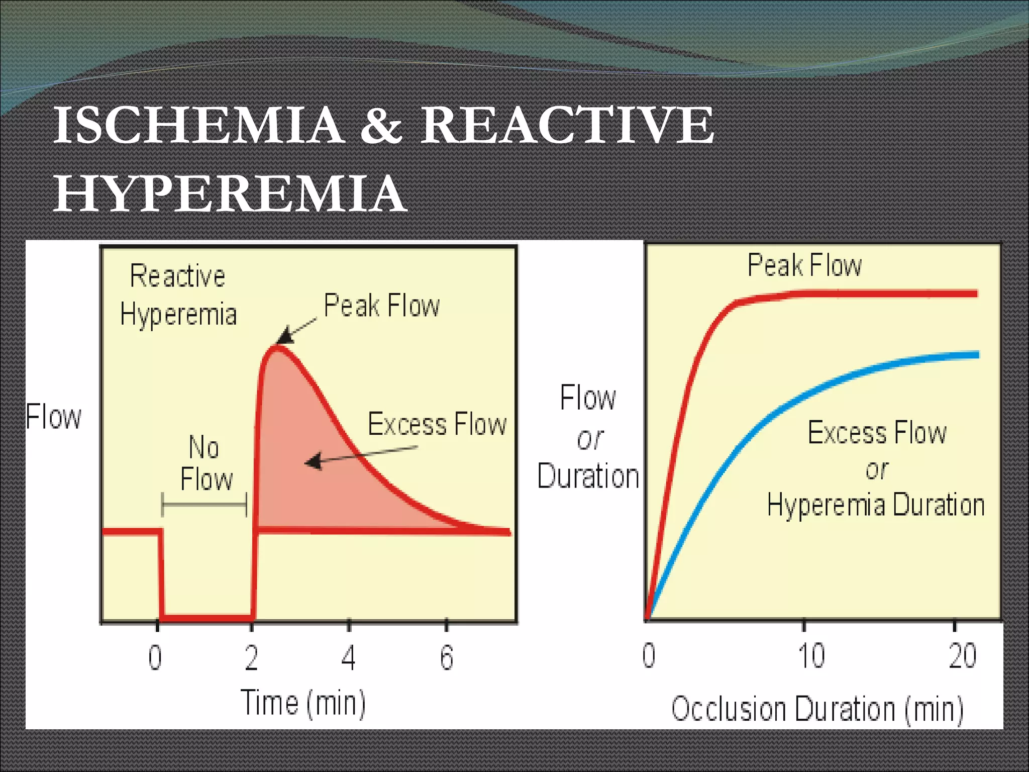 ISCHEMIA & REACTIVE HYPEREMIA 