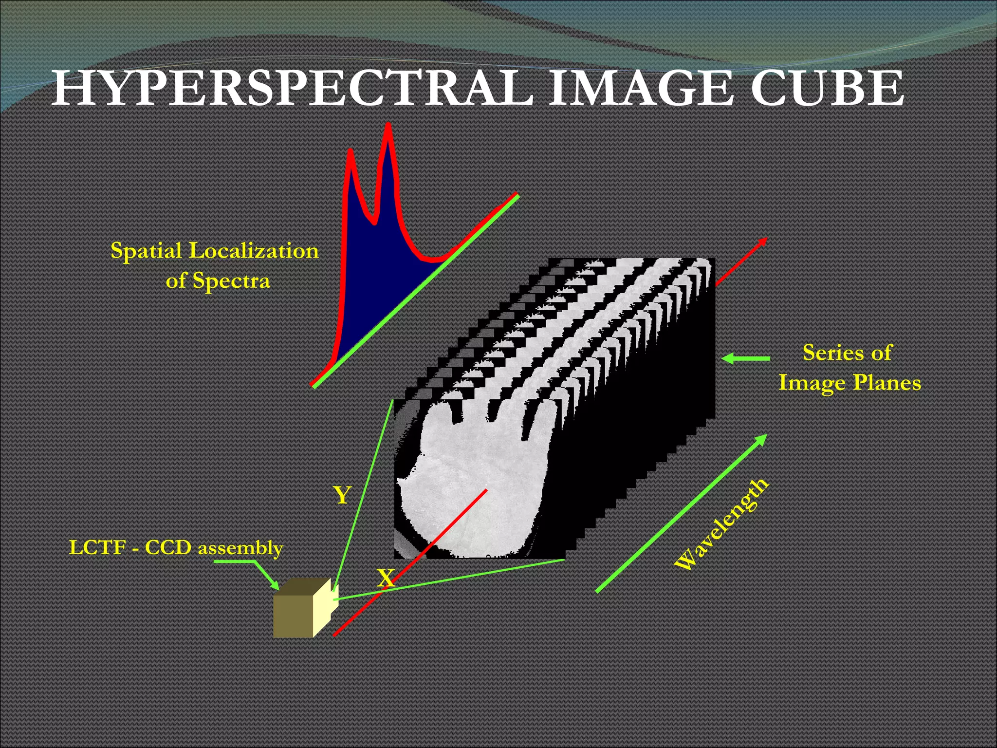 HYPERSPECTRAL IMAGE CUBE Wavelength LCTF - CCD assembly Series of  Image Planes Y X Spatial Localization of Spectra 