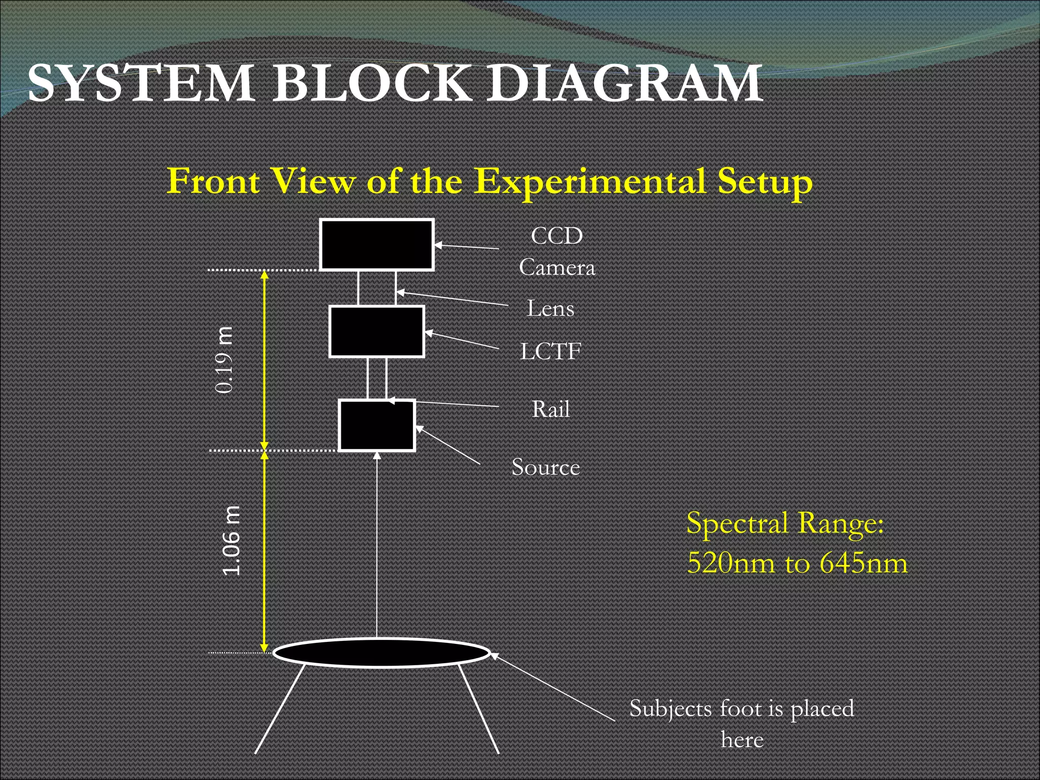 SYSTEM BLOCK DIAGRAM Spectral Range: 520nm to 645nm CCD Camera Rail LCTF Lens Source Subjects foot is placed here 0.19  m 1.06 m Front View of the Experimental Setup 