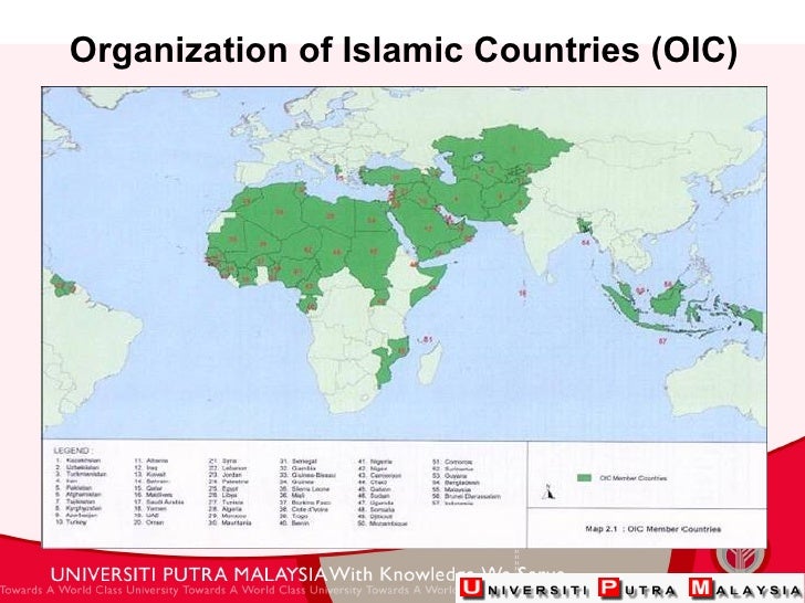 Recent Development In Halal Food Analysis