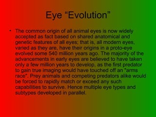 Refraction | PPT