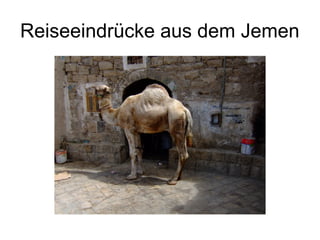 Reiseeindrücke aus dem Jemen
 