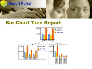 Integrated Business Intelligence and Data Warehouse