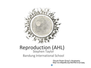 Reproduction (AHL)