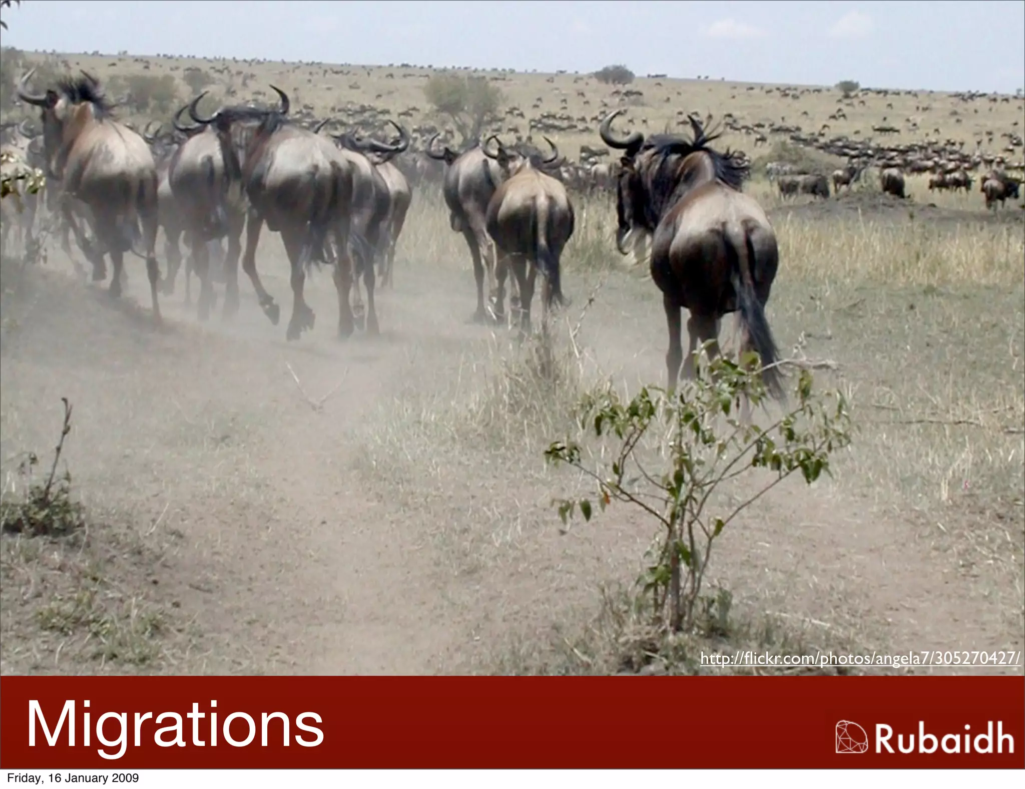 Ruby And Rails Is Awesome