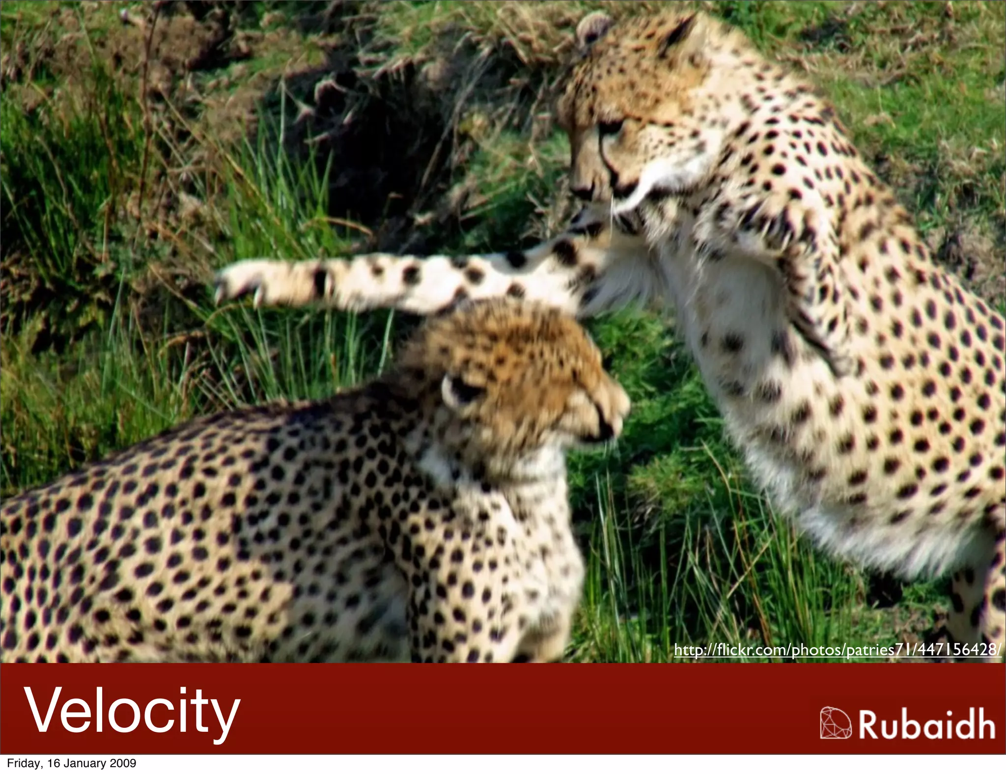 Ruby And Rails Is Awesome