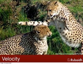 Ruby And Rails Is Awesome