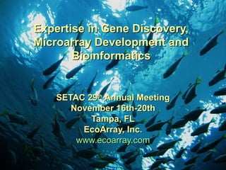 Expertise in Gene Discovery, Microarray Development and Bioinformatics SETAC 29 th  Annual Meeting November 16th-20th Tampa, FL EcoArray, Inc. www.ecoarray.com 