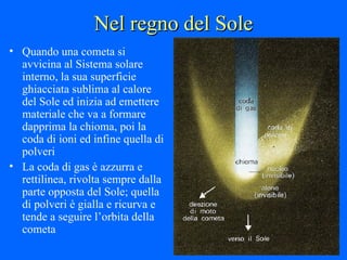Nel regno del Sole Quando una cometa si avvicina al Sistema solare interno, la sua superficie ghiacciata sublima al calore del Sole ed inizia ad emettere materiale che va a formare dapprima la chioma, poi la coda di ioni ed infine quella di polveri La coda di gas è azzurra e rettilinea, rivolta sempre dalla parte opposta del Sole; quella di polveri è gialla e ricurva e tende a seguire l’orbita della cometa 