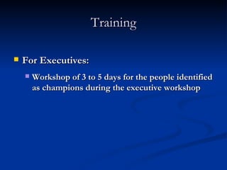Training For Executives: Workshop of 3 to 5 days for the people identified as champions during the executive workshop 