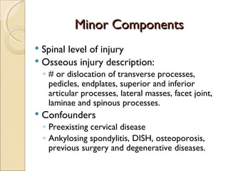 Minor Components Spinal level of injury Osseous injury description: # or dislocation of transverse processes, pedicles, endplates, superior and inferior articular processes, lateral masses, facet joint, laminae and spinous processes. Confounders Preexisting cervical disease Ankylosing spondylitis, DISH, osteoporosis, previous surgery and degenerative diseases. 