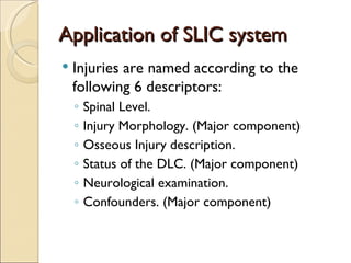 Application of SLIC system Injuries are named according to the following 6 descriptors: Spinal Level. Injury Morphology. (Major component) Osseous Injury description. Status of the DLC. (Major component) Neurological examination. Confounders. (Major component) 