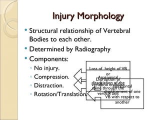 Injury Morphology Structural relationship of Vertebral Bodies to each other. Determined by Radiography Components: No injury. Compression. Distraction. Rotation/Translation. Loss of  height of VB or Disruption of vertebral endplate Anatomical dissociation of the spine through the vertical axis Horizontal displacement of one VB with respect to another 