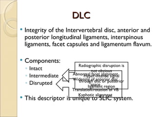 DLC Integrity of the Intervertebral disc, anterior and posterior longitudinal ligaments, interspinous ligaments, facet capsules and ligamentum flavum. Components: Intact Intermediate Disrupted This descriptor is unique to SLIC system. Abnormal facet alignment Widening of anterior disc space Translation/rotation of VB Kyphotic alignment Radiographic disruption is not obvious Hyper-intense signal through disc or posterior ligament region 
