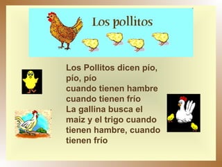 Los Pollitos dicen pío, pío, pío  cuando tienen hambre cuando tienen frío  La gallina busca el maiz y el trigo cuando tienen hambre, cuando tienen frío  