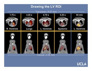 SNM 2007, Washington DC