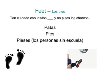Feet   –   Los pies Ten cuidado con las/los ___ y no pises los charcos . Patas Pies Pieses (los personas sin escuela) 