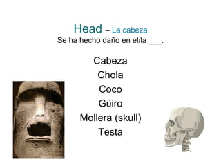 Head   –   La cabeza Se ha hecho daño en el/la ___. Cabeza Chola Coco G ϋ iro Mollera (skull) Testa 