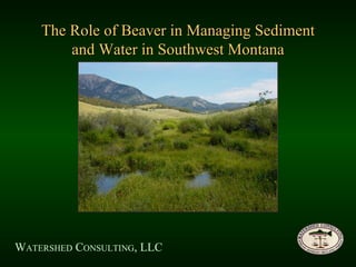The Role of Beaver in Managing Sediment and Water in Southwest Montana W ATERSHED  C ONSULTING , LLC 