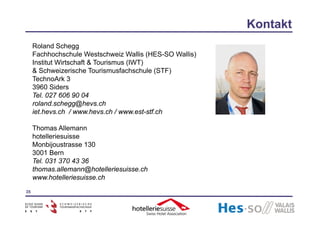 Schegg & Allemann 2009 Schweizer Hotellerie und Internet 2008