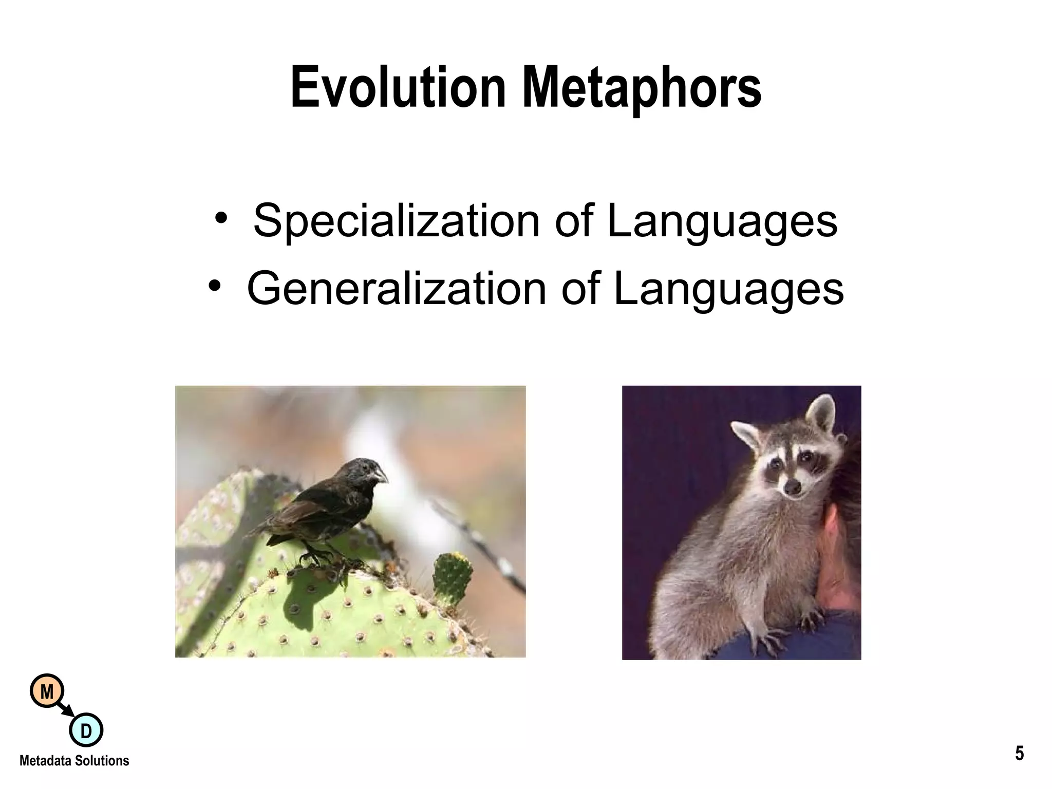 Evolution Metaphors Specialization of Languages Generalization of Languages 