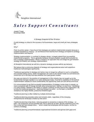 Seraphim International


Sales Support Consultants
Joseph Trygar
November 2008



                                A Strategic Snapshot & Plan Of Action
A solid strategy is critical to the success of all businesses, large and small yet many strategies
fail.

Why?

Over my entire career, I have found that strategies are seldom implemented properly because a
suitable framework is missing – an architecture that reaches from strategy conception to strategy
implementation and beyond.

Strategy implementation, in contrast to strategy design, is largely absent from successfully
implemented programs. This is generally because company leaders usually fail to provide the
link to strategy implementation. What is missed is an approach that can bridge the gulf between
strategy formulation and strategy implementation.

At Seraphim International we will link a dynamic strategic process with/to rep behavior.

We believe that a continuous dialectic of strategy and organizational action will outperform
traditional methodologies significantly.

Traditional approaches to strategy and tactics may no longer be sufficient in such a competitive
and complex selling space. Sales management can work in the mental model via command-and-
control but not in the way that was textbook from past growth models.

Any way you look at it, the practice of management in this industry has not caught up to the
fundamental changes needed in our sales landscape today. If we fail to capitalize on the tactical
implementation needed for future sustainability the opportunity costs can and will be enormous.

It is commonplace to say that successful implementation of strategy comes down to people, so
many companies talk of change and talk about empowerment. Saying it is one thing – facilitating
it is quite another. Needed is the ability to unleash creativity at every level of the organization. By
turning the traditional sequence – planning followed by action – on its head, to transform
resistance into highly flexible, productive breakthroughs.

Traditional planning is often riddled by multiple shortcomings:

Traditional planning precedes action and remains static, regardless of the changing
entrepreneurial landscape created by that action.

Traditional planning is top-down, reducing people to recipients or objects of the strategy – or
both. I am suspicious of buzz-phrases like “this is what we do best, get the customer to buy into,
this is what we have always done…” which reveal that employees are the buyers, not the co-
authors of strategy.

Traditional planning compartmentalizes organizational functions and ignores both gaps and
 