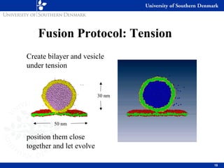 Computational Modeling of Biophysical Processes in a Cell | PDF