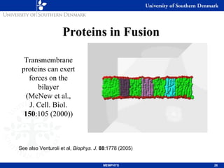 Computational Modeling of Biophysical Processes in a Cell | PDF