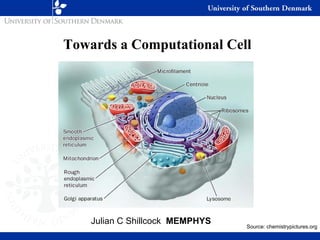 Towards a Computational Cell




    Julian C Shillcock MEMPHYS
                                 Source: chemistrypictures.org
 