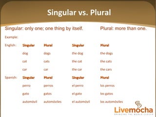 Singular: only one; one thing by itself. Plural: more than one. Example: English : Singular Plural Singular Plural dog dogs the dog the dogs cat cats the cat the cats car car the car the cars Spanish: Singular Plural Singular Plural perro perros el perro los perros gato gatos el gato los gatos autom óvil automóviles el automóvil los automóviles Singular vs. Plural 