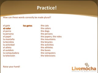 How can these words correctly be made plural? el gato los gatos the cats el color the colors el perro the dogs la persona the persons el papel the papers; the roles la montaña the mountains la bicicleta the bicycles la actividad the activities el atleta the athletes el autobús the buses la computadora the computers la televisión the televisions Raise your hand! Practice! 