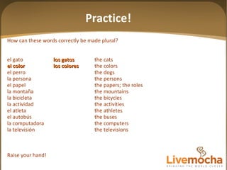 How can these words correctly be made plural? el gato los gatos the cats el color los colores the colors el perro the dogs la persona the persons el papel the papers; the roles la montaña the mountains la bicicleta the bicycles la actividad the activities el atleta the athletes el autobús the buses la computadora the computers la televisión the televisions Raise your hand! Practice! 