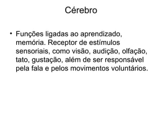 Cérebro Funções ligadas ao aprendizado, memória. Receptor de estímulos sensoriais, como visão, audição, olfação, tato, gustação, além de ser responsável pela fala e pelos movimentos voluntários.   